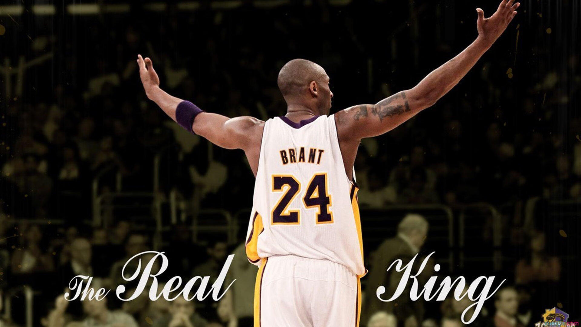 LPL中单格局将重洗Knight去向最受关注,lol ig中单